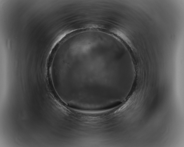 X0000087371023200704201224