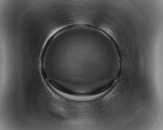 X0000087371024200704201224