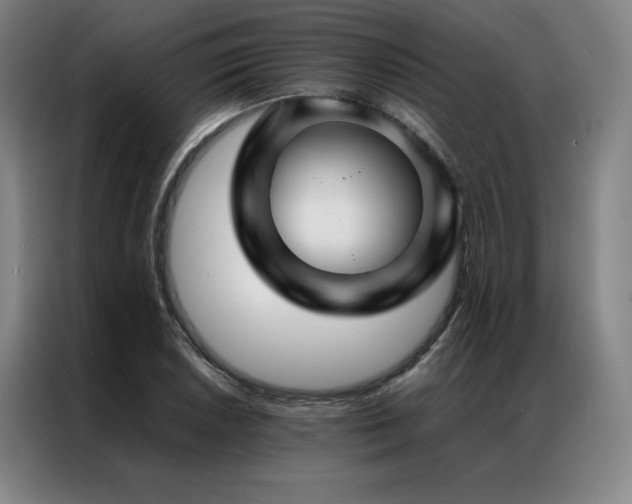 X0000087371026200704201224