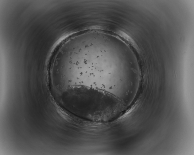 X0000087371027200704201224