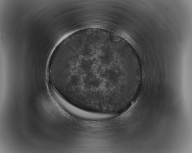 X0000087371028200704201224