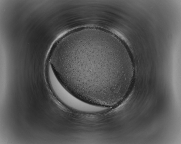 X0000087371029200704201224