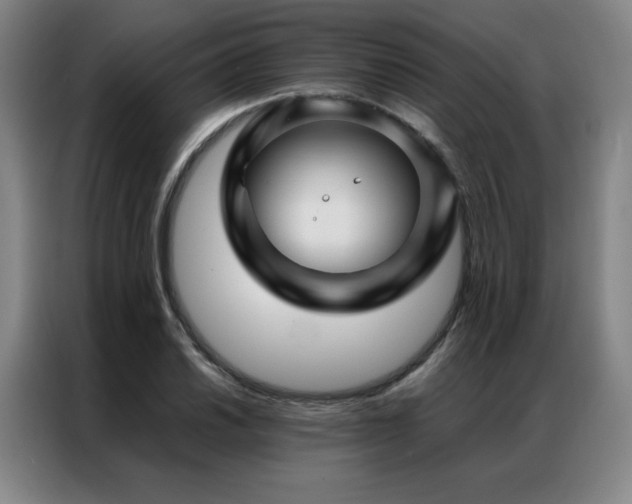 X0000087371030200704201224