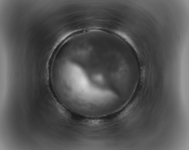 X0000087371031200704201224