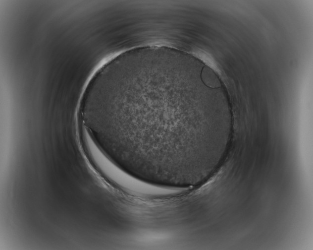 X0000087371032200704201224