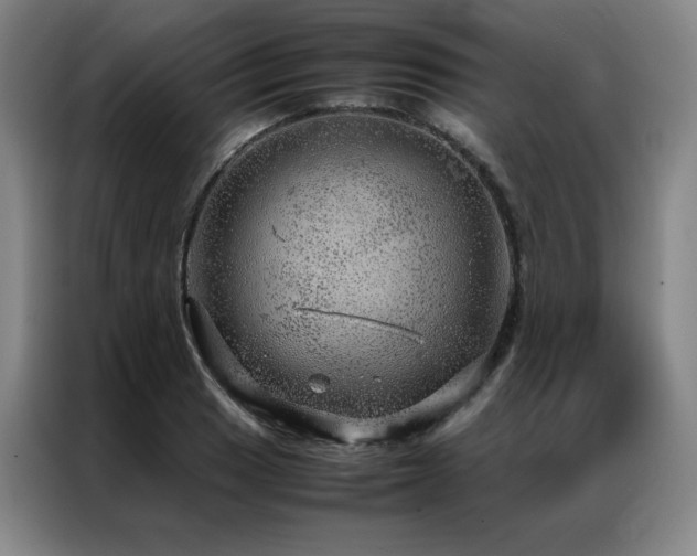 X0000087371033200704201224