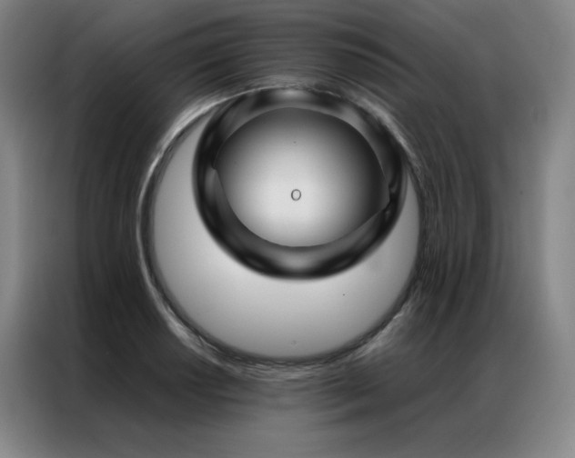 X0000087371034200704201224