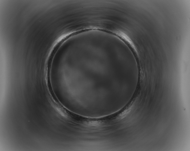 X0000087371035200704201224