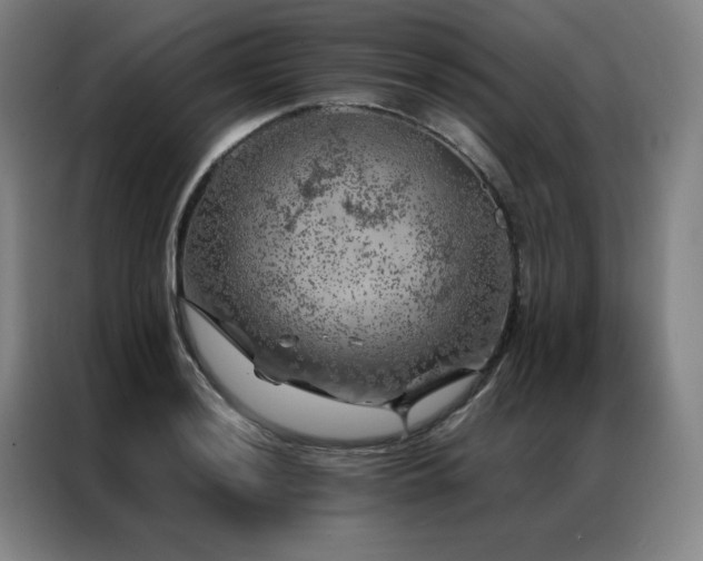 X0000087371036200704201224