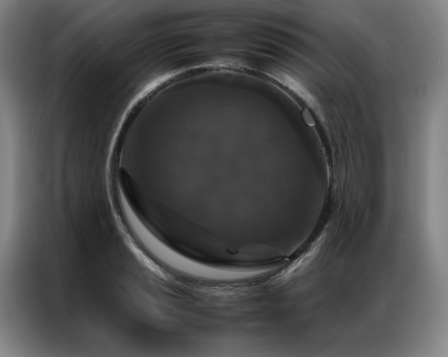 X0000087371037200704201224