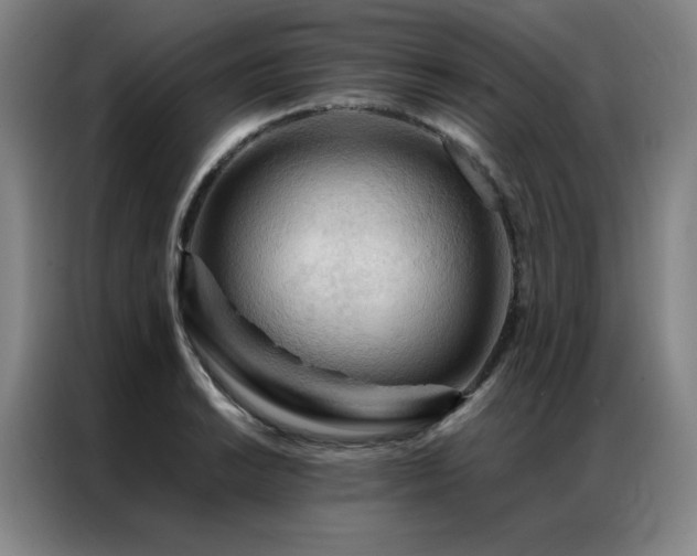 X0000087371038200704201224