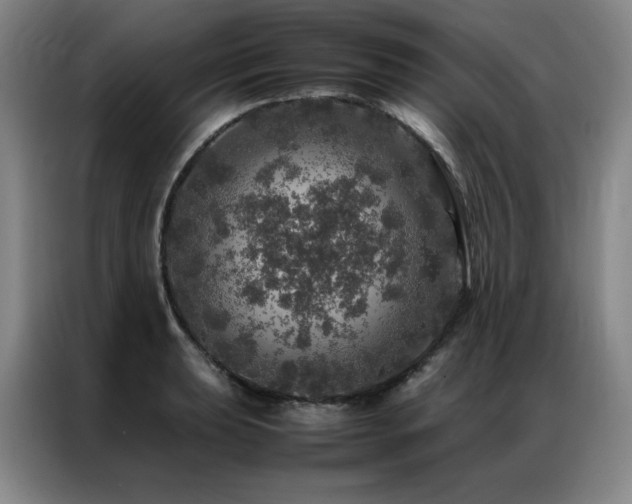 X0000087371039200704201224