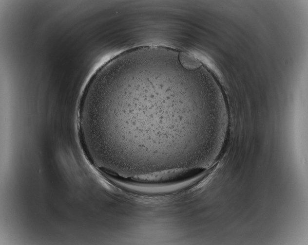 X0000087371040200704201224