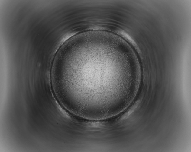X0000087371041200704201224