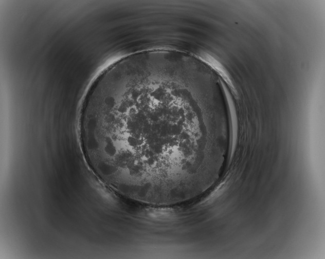 X0000087371043200704201224