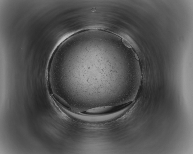 X0000087371044200704201224