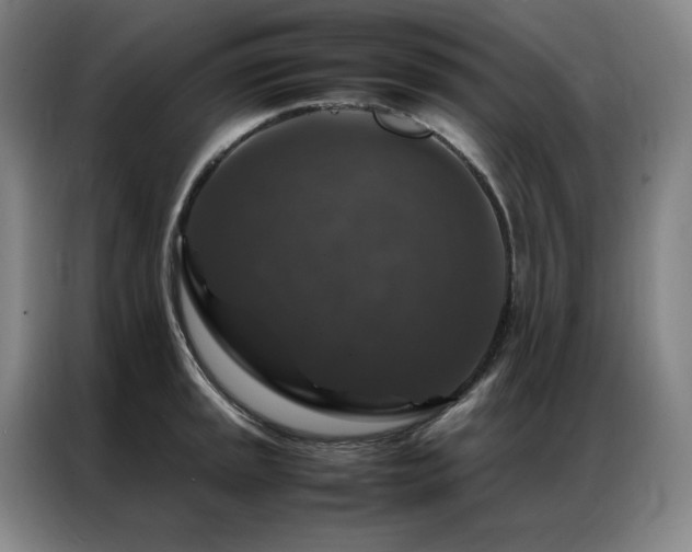 X0000087371045200704201224