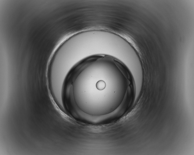 X0000087371046200704201224
