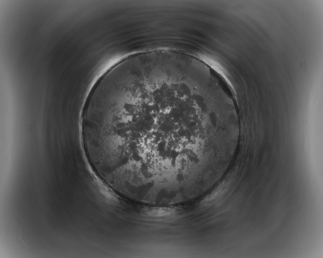 X0000087371047200704201224