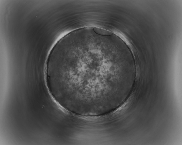 X0000087371048200704201224