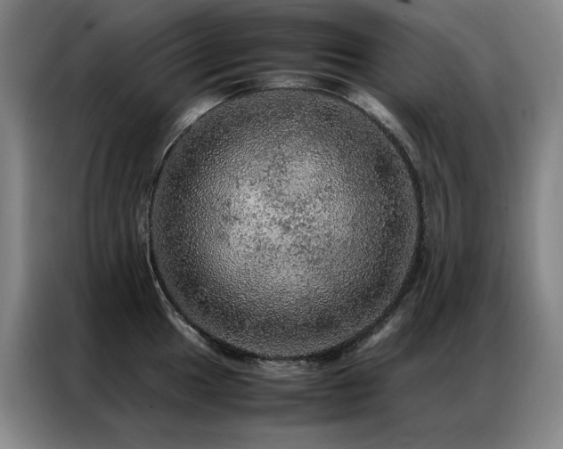 X0000087371049200704201224