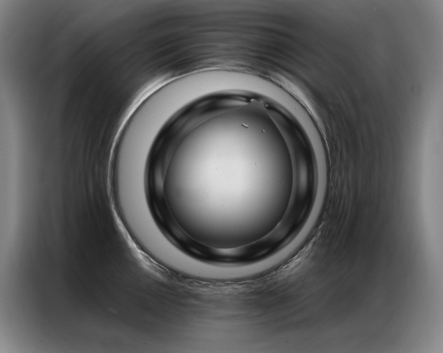 X0000087371050200704201224