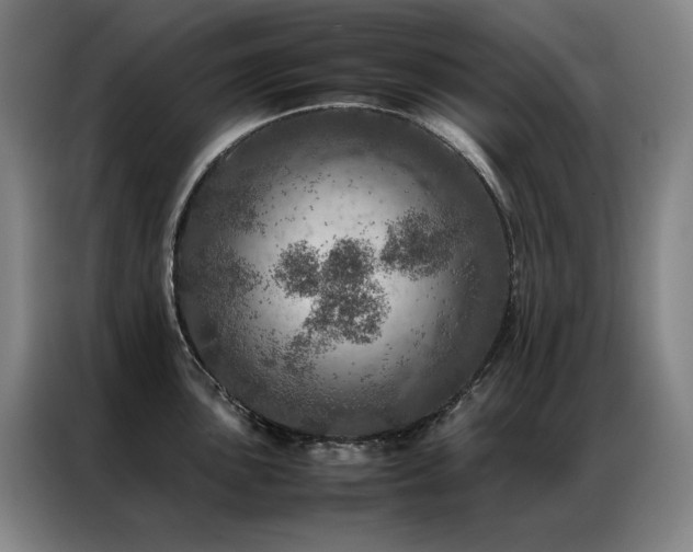 X0000087371051200704201224