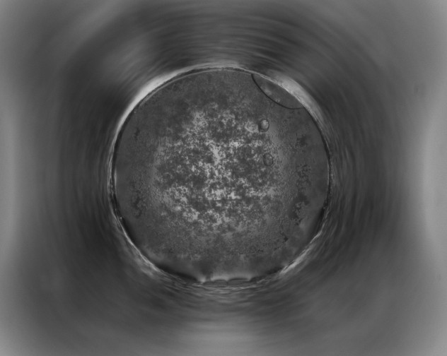 X0000087371052200704201224