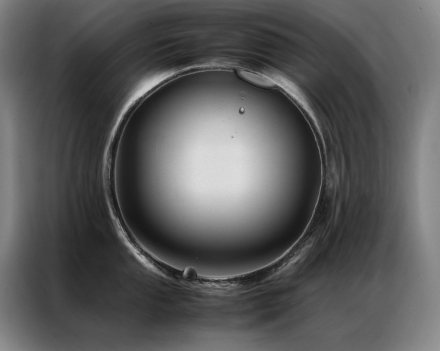 X0000087371053200704201224
