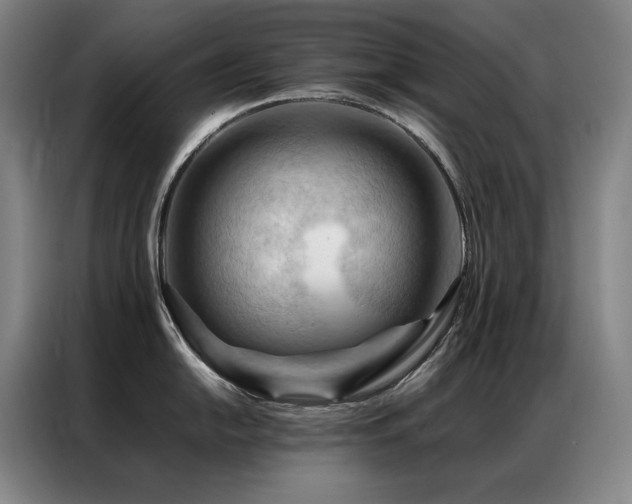 X0000087371054200704201224
