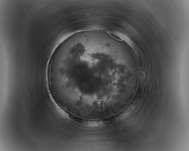 X0000087371055200704201224