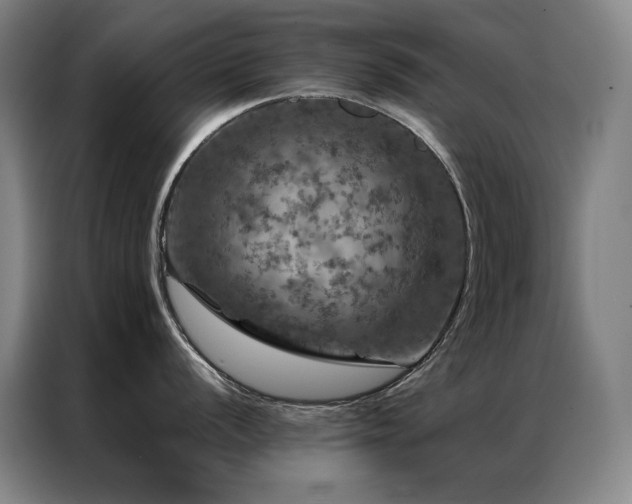 X0000087371056200704201224