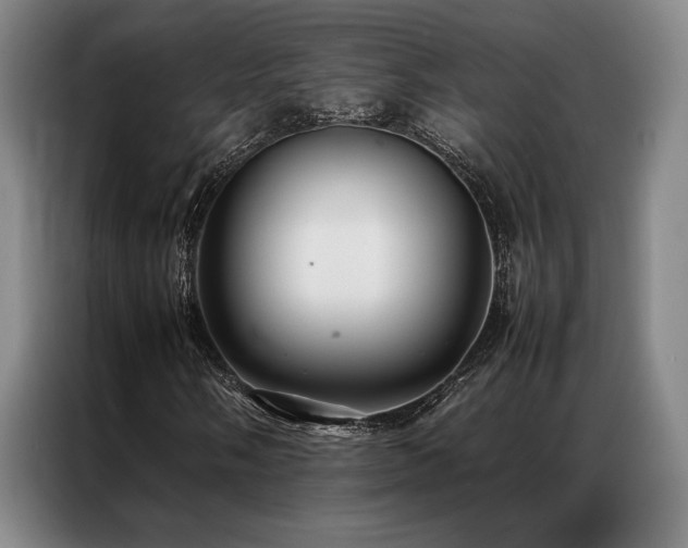 X0000087371058200704201224