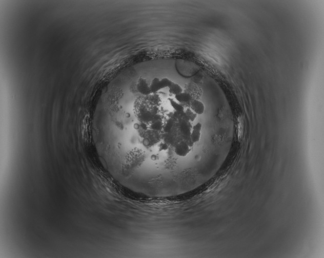 X0000087371059200704201224