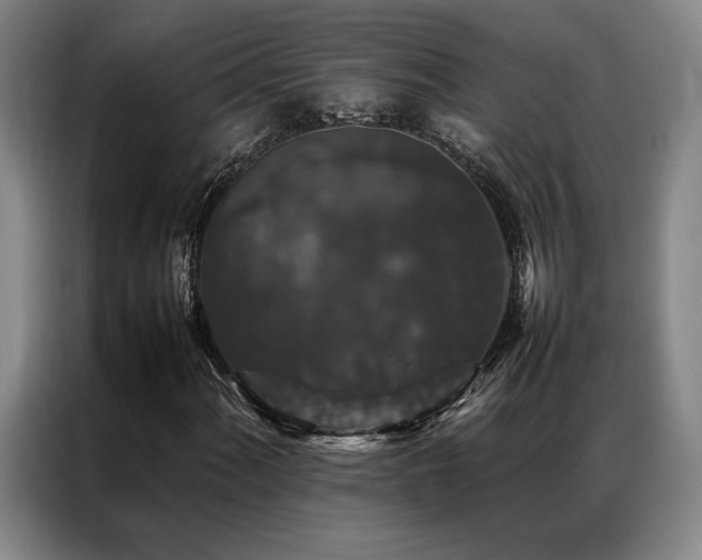 X0000087371060200704201224