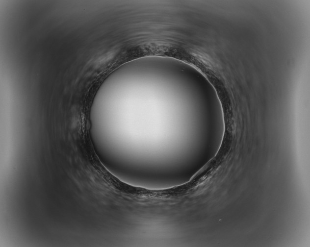 X0000087371061200704201224