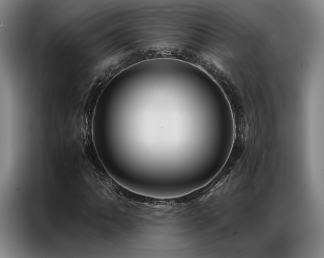 X0000087371062200704201224