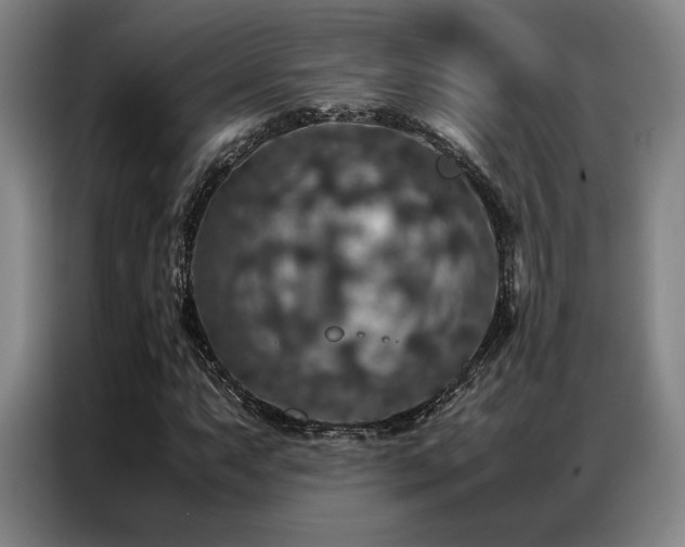 X0000087371063200704201224