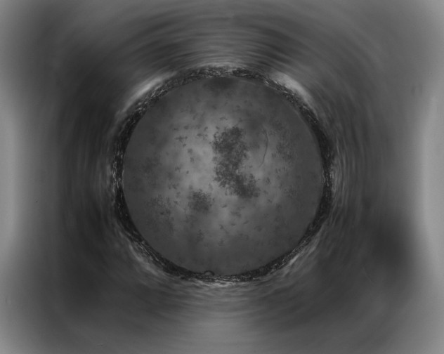 X0000087371064200704201224