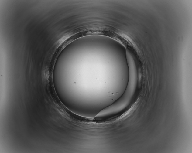 X0000087371065200704201224