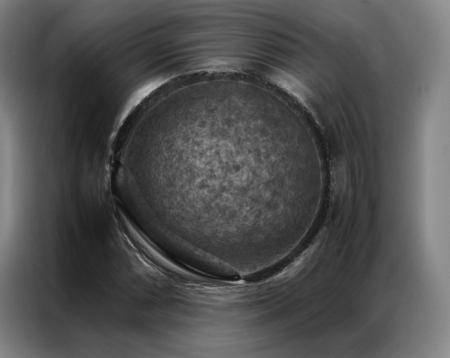 X0000087371066200704201224