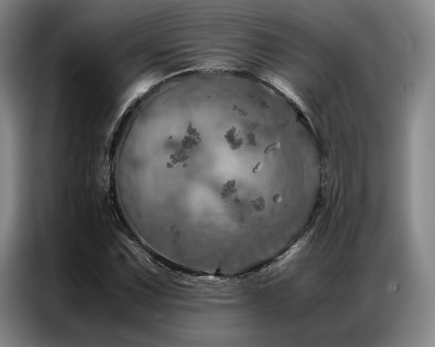 X0000087371067200704201224