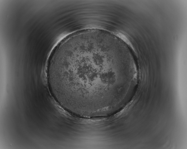 X0000087371068200704201224