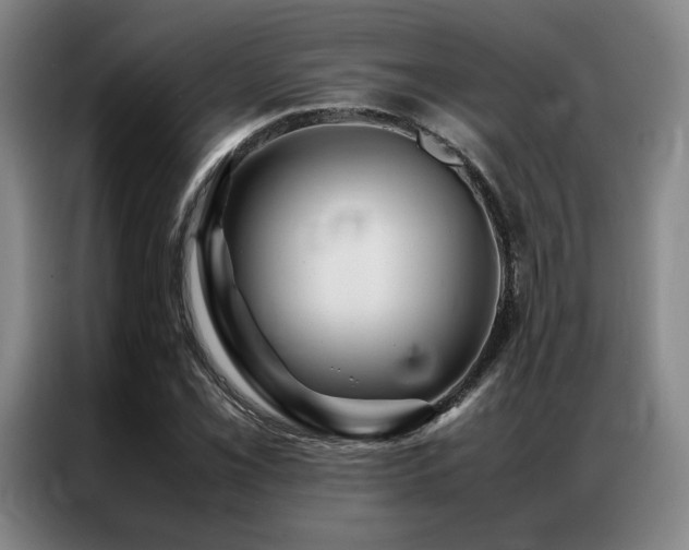 X0000087371069200704201224