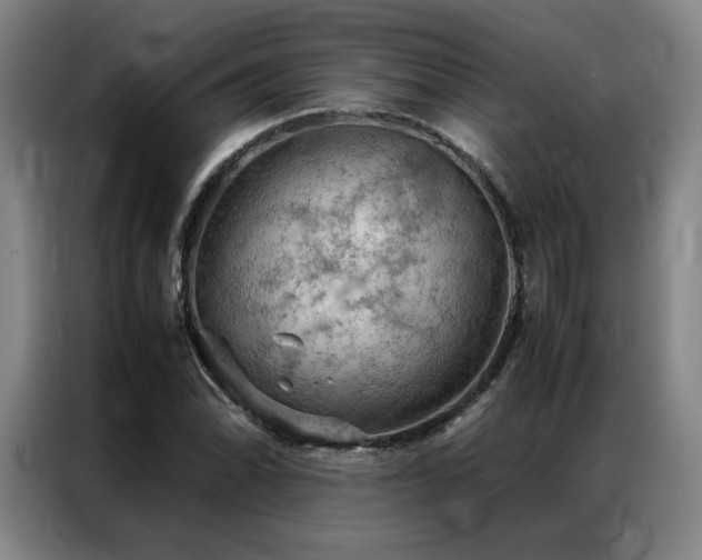 X0000087371070200704201224