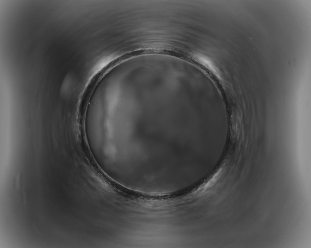 X0000087371071200704201224