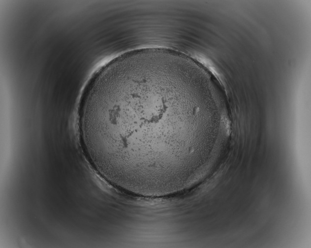 X0000087371072200704201224