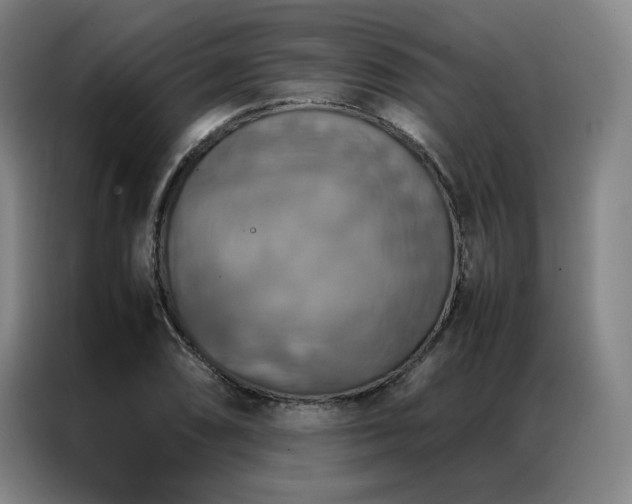 X0000087371074200704201224