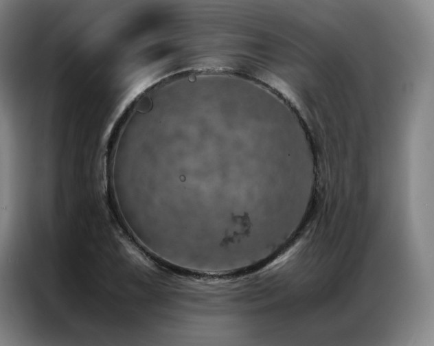 X0000087371075200704201224