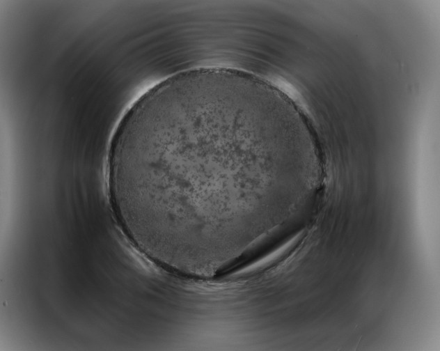 X0000087371076200704201224